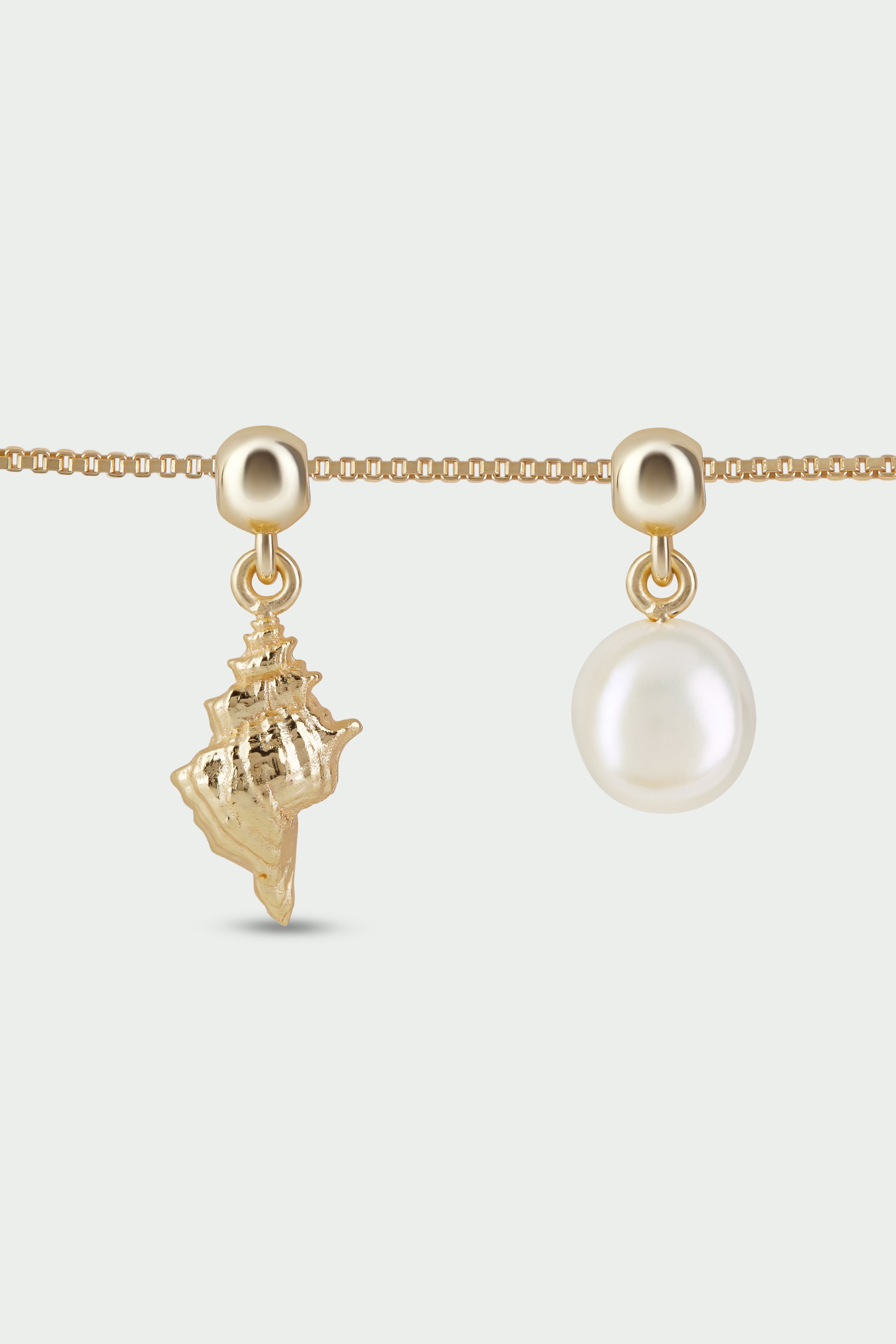 Freshwater Pearl Slider