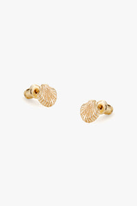 Shell Earrings