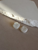 Seashell Earrings Silver