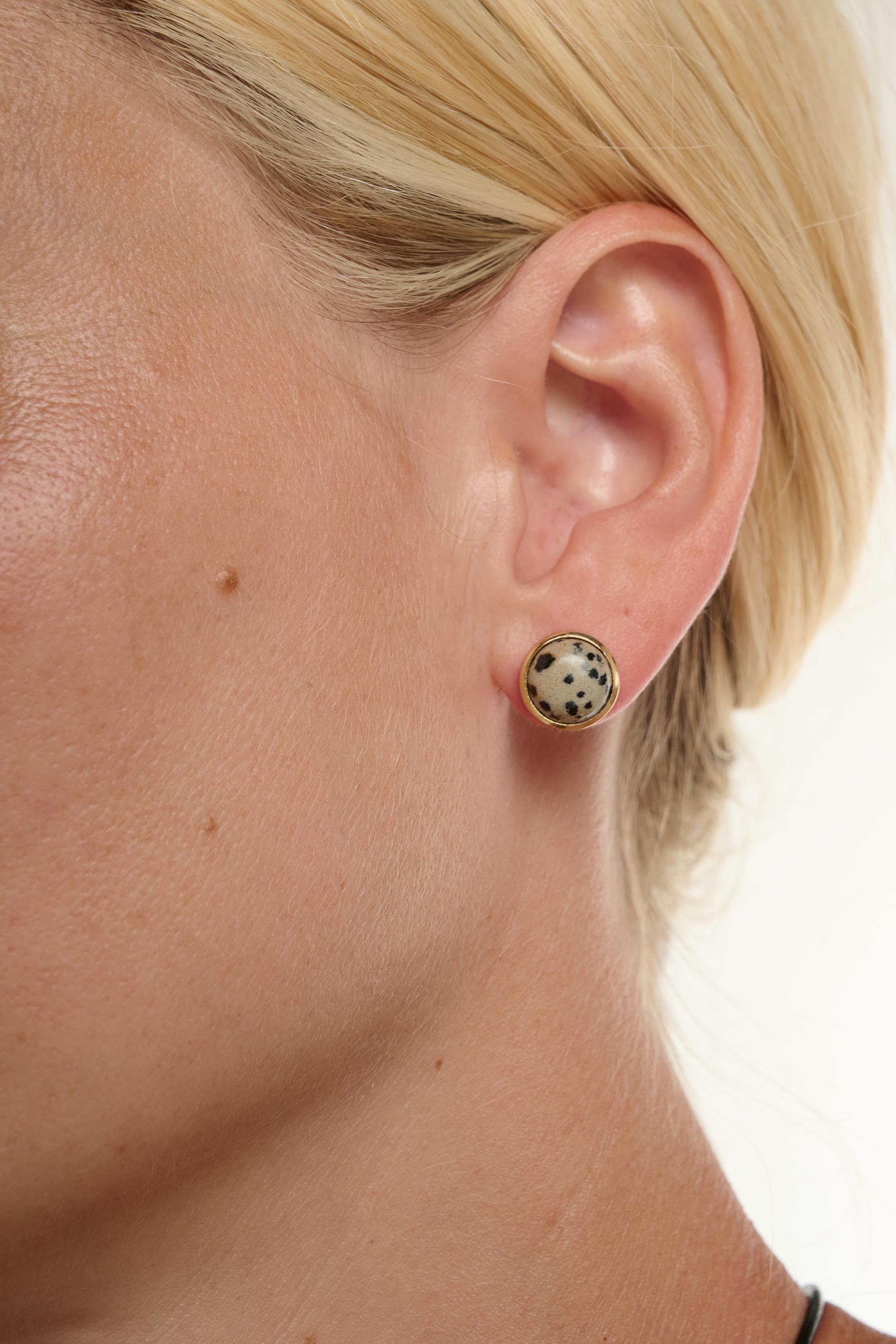 Jasper Earrings
