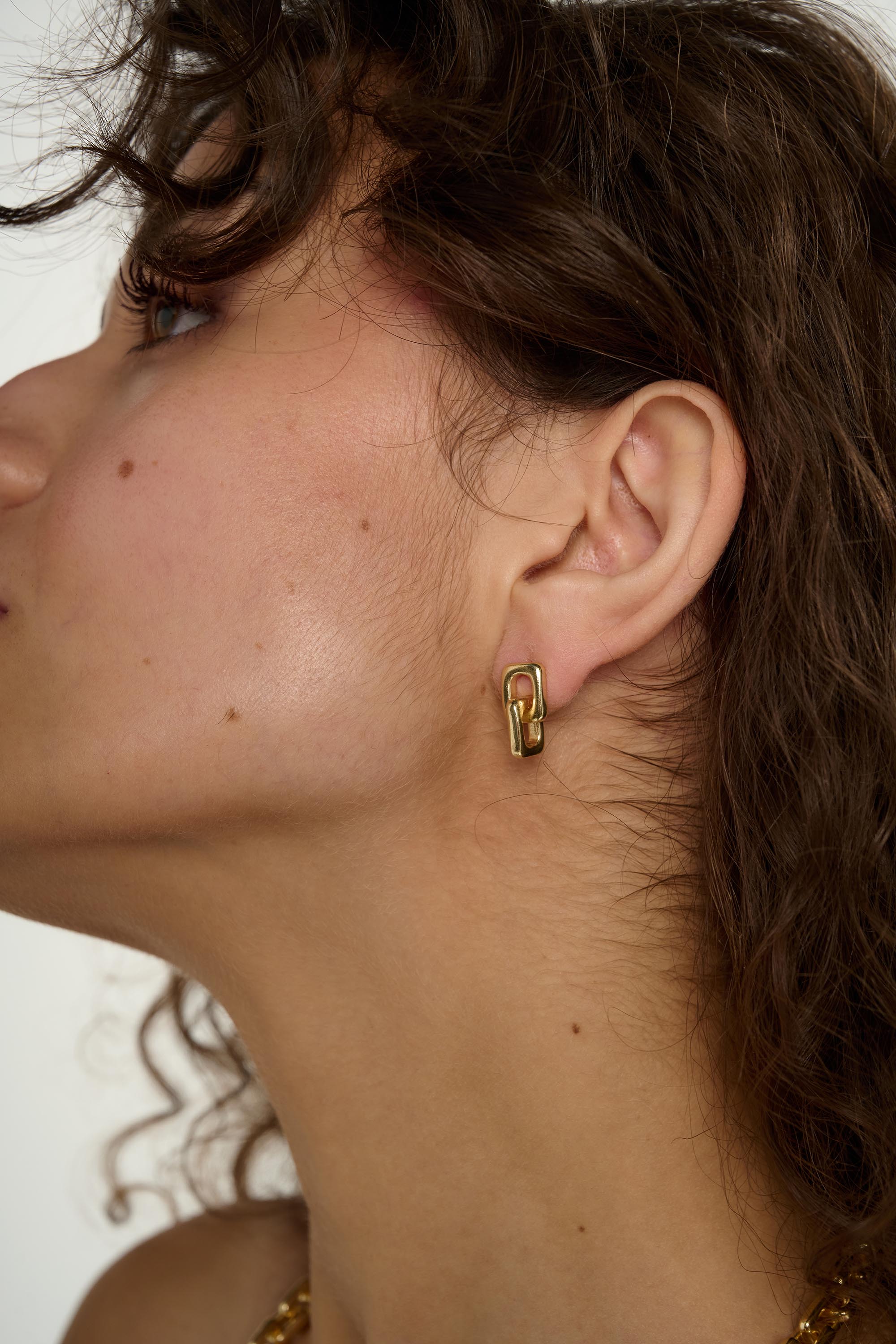 Link Earrings