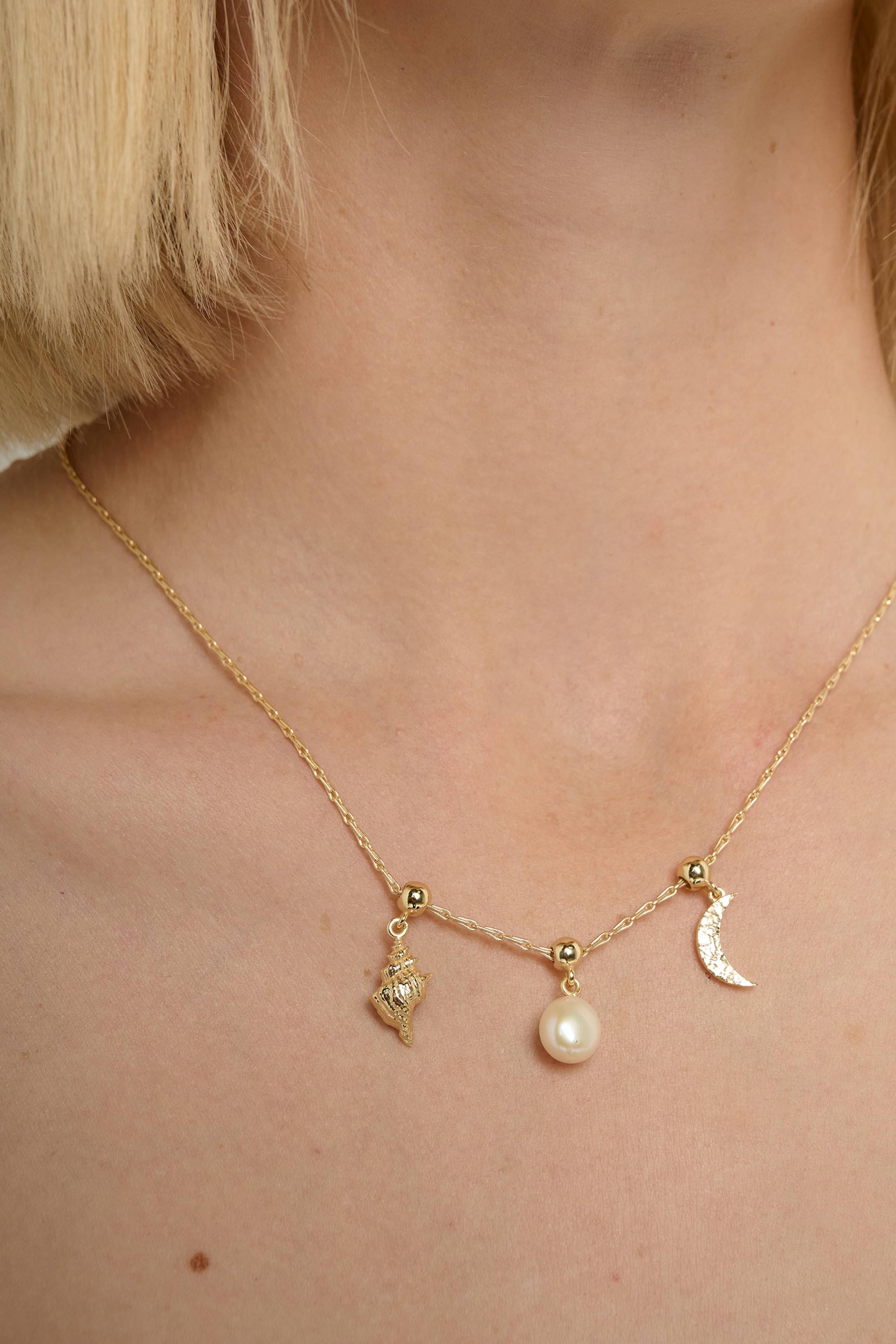 Coastal Shell Slider