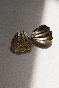 Sandshell Earrings