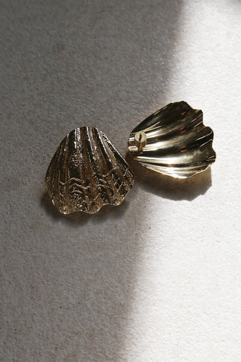 Sandshell Earrings