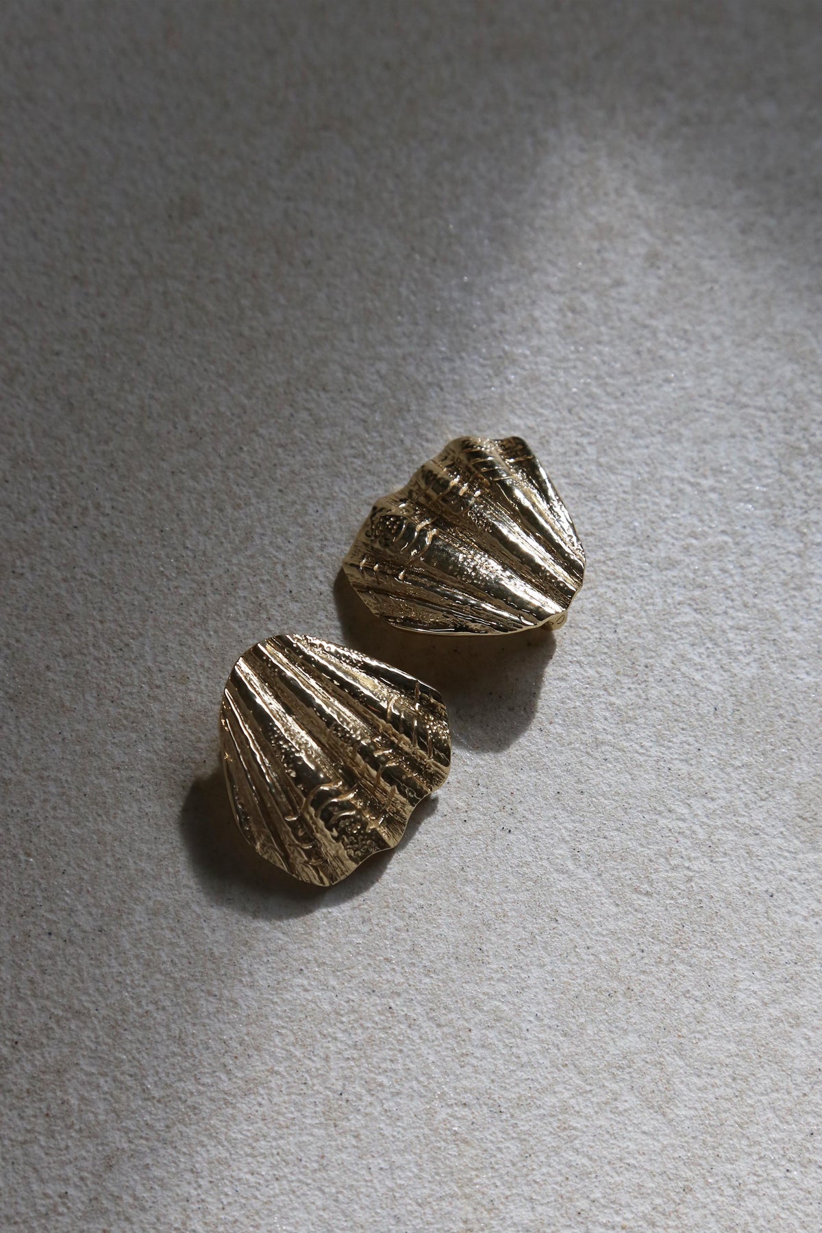 Sandshell Earrings