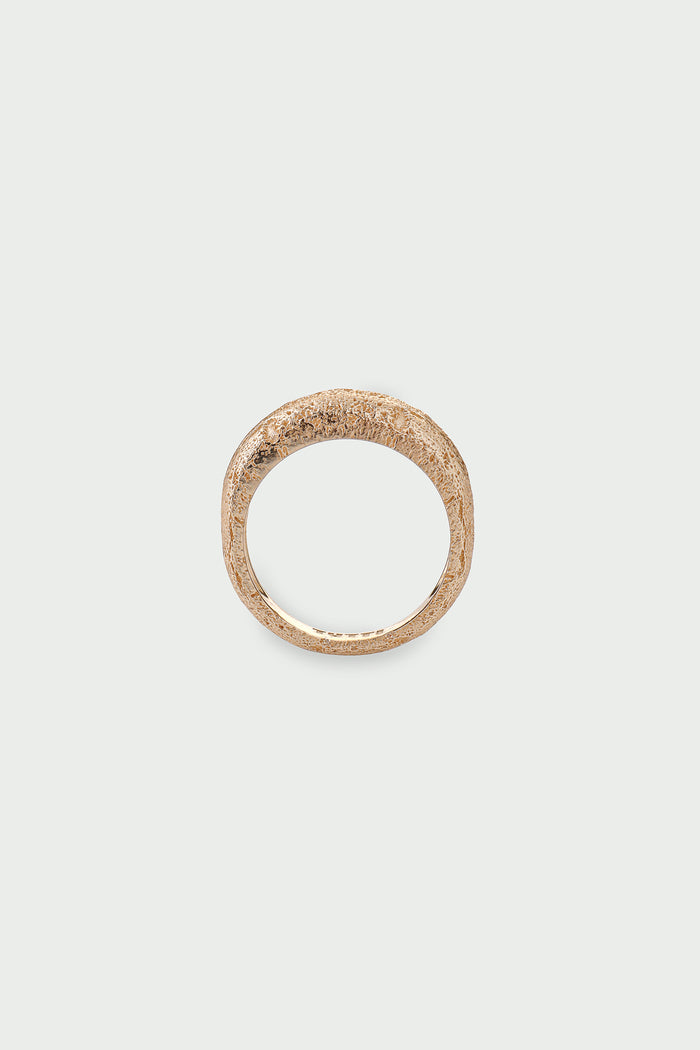 Journey Ring