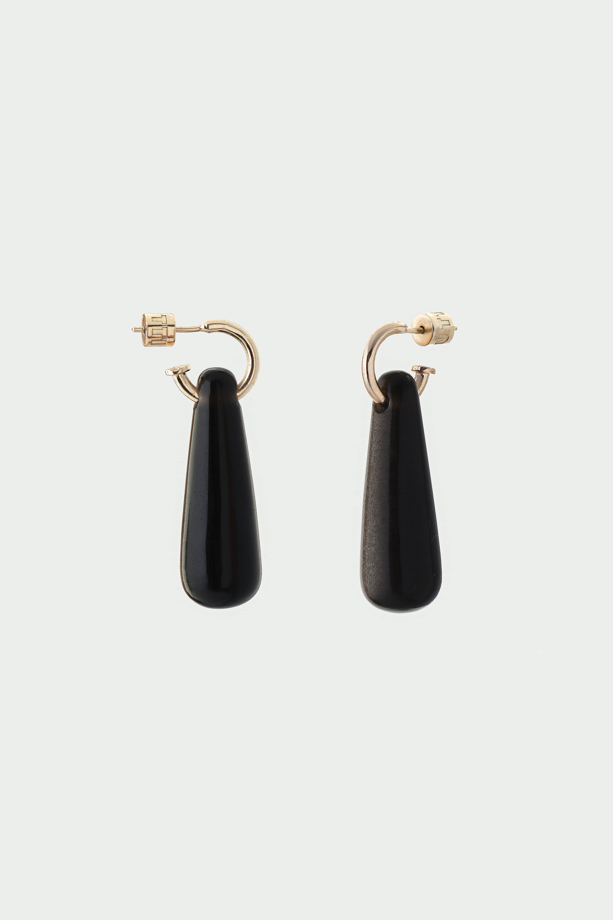 Protect Earrings