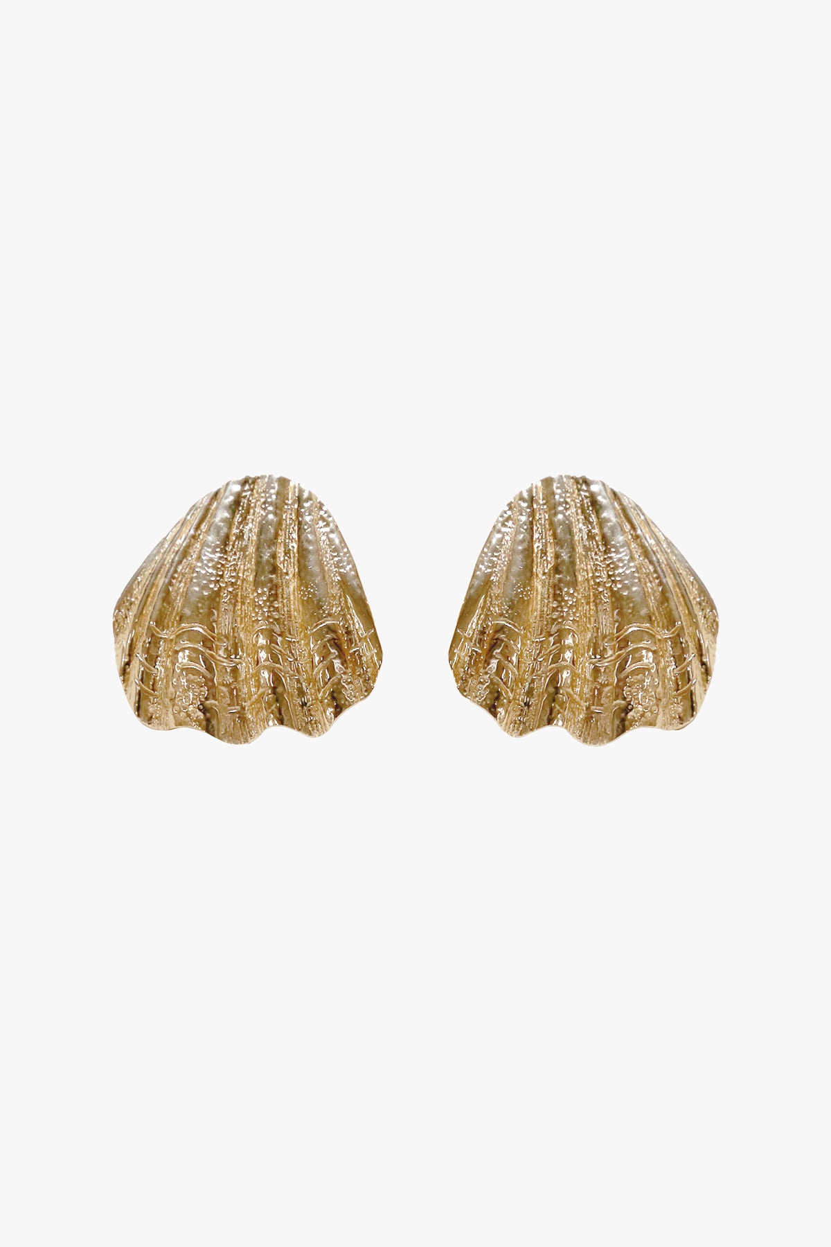 Sandshell Earrings
