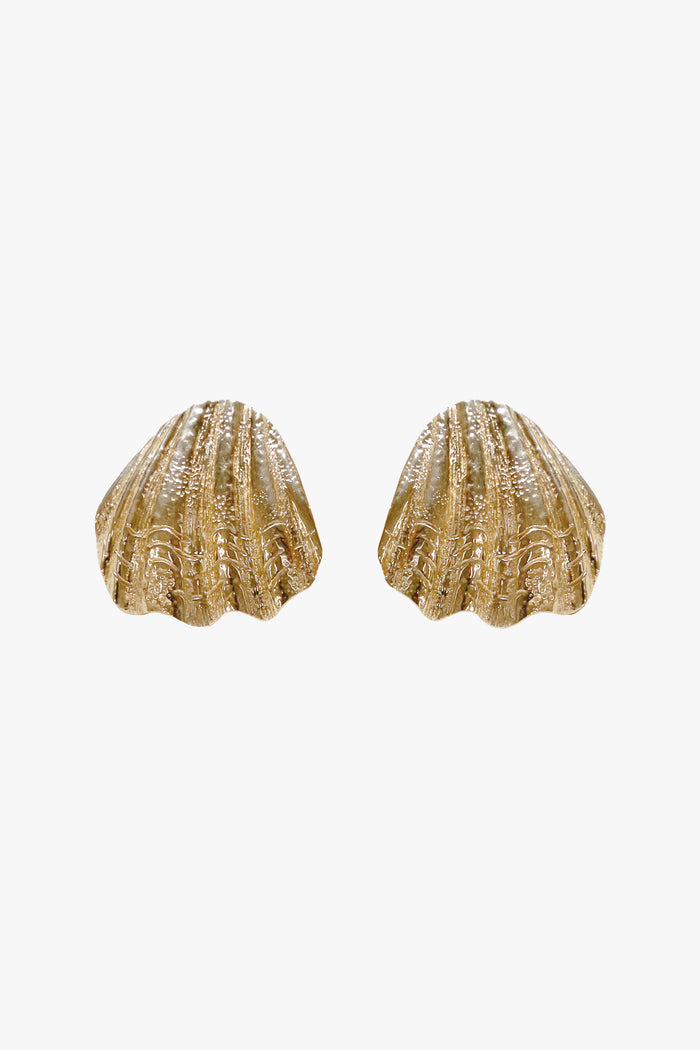 Sandshell Earrings