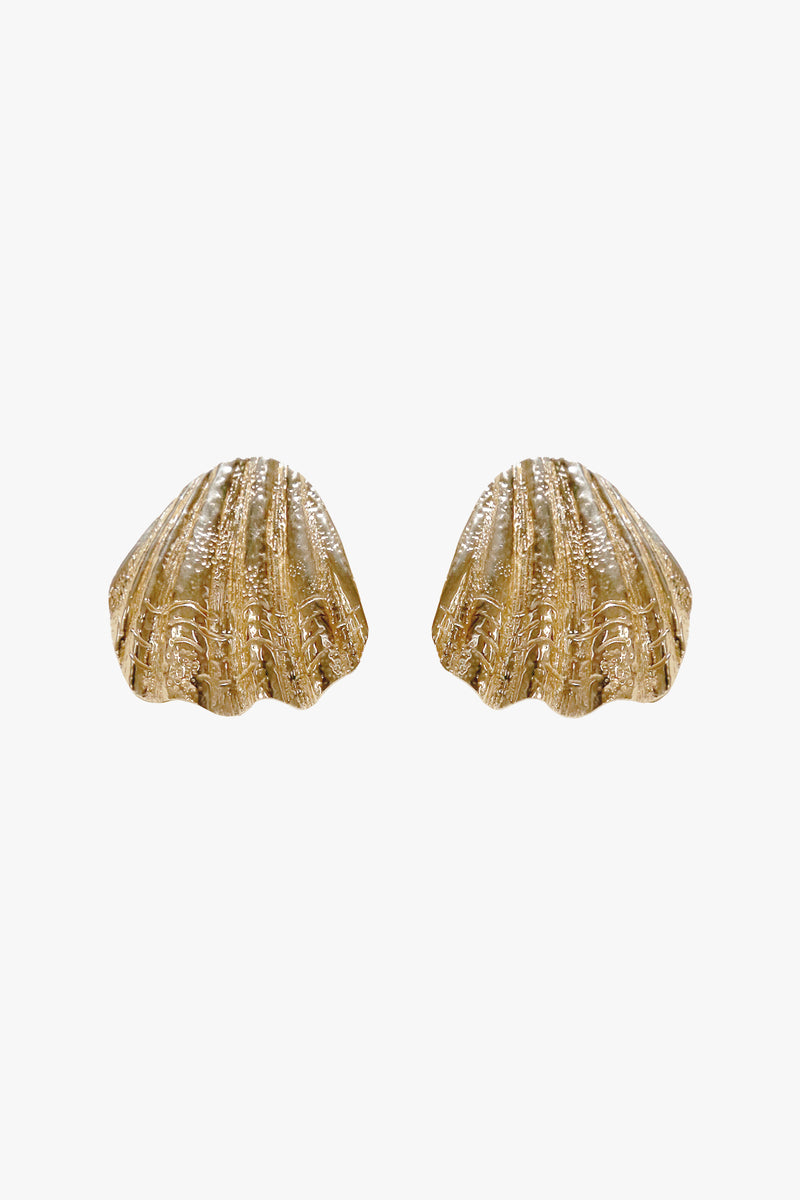 Sandshell Earrings