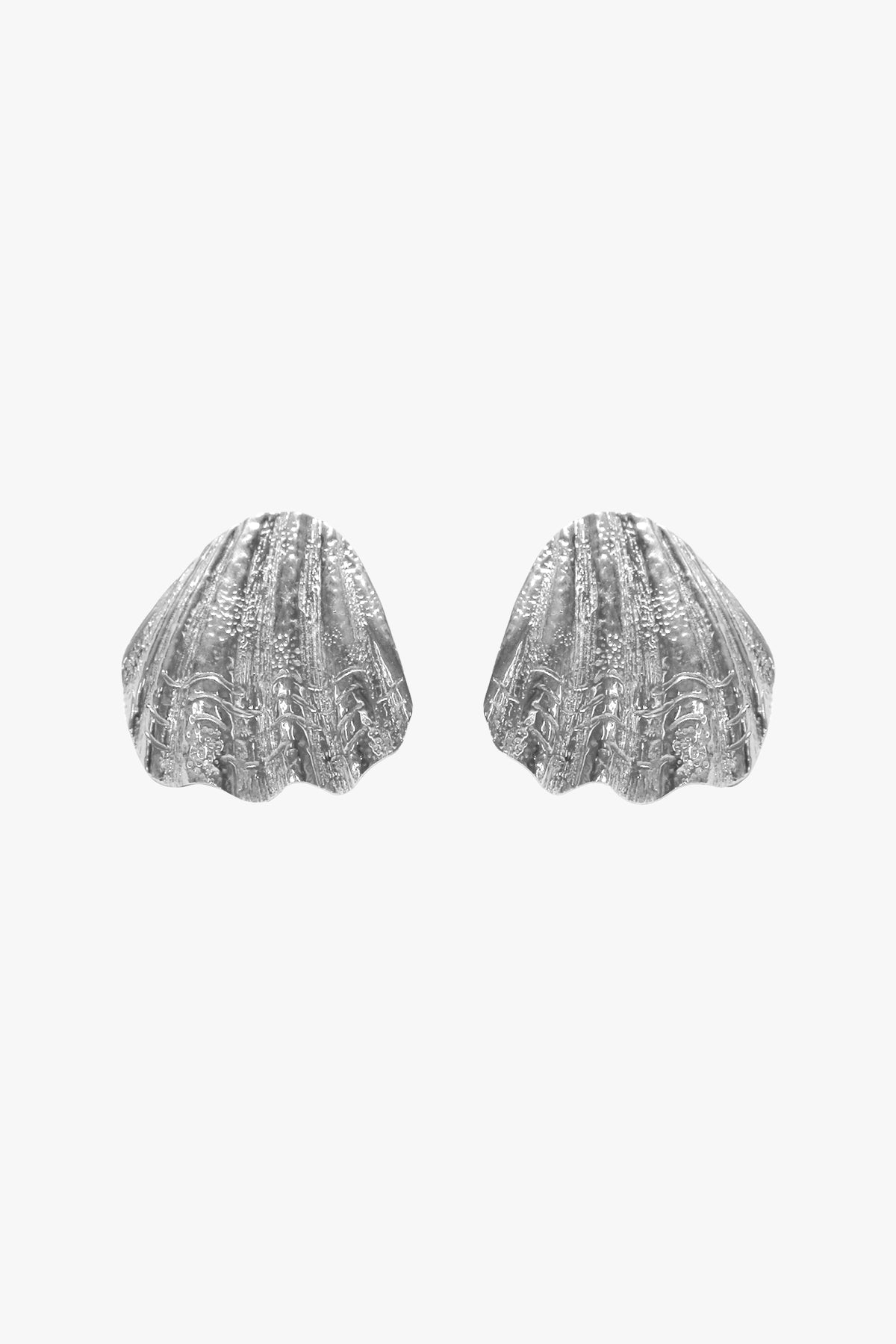 Sandshell Earrings