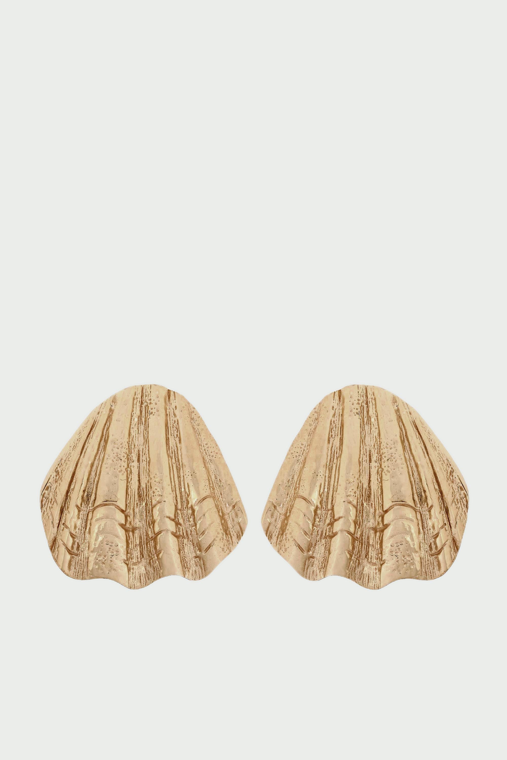 Sandshell Earrings