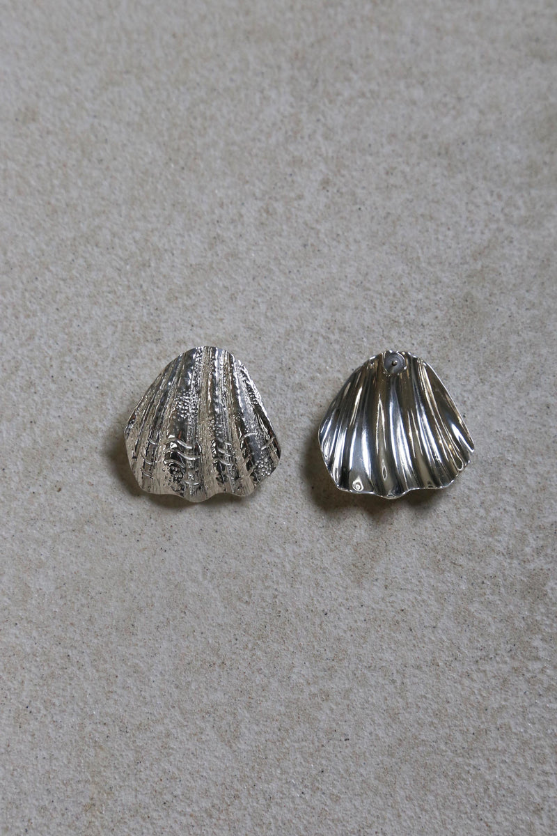 Sandshell Earrings
