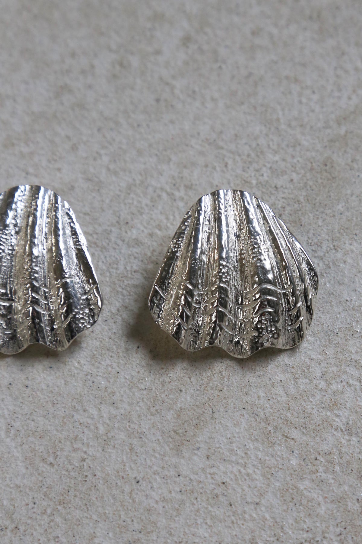 Sandshell Earrings